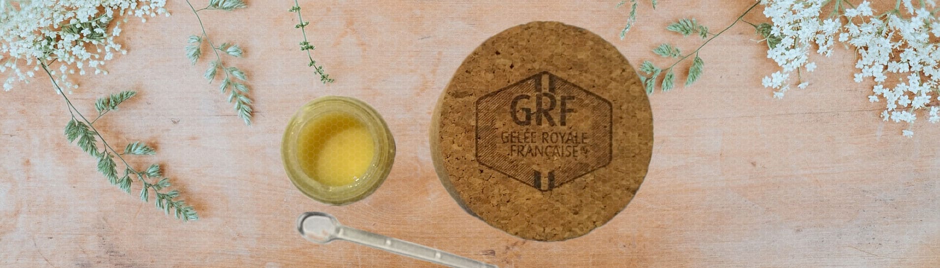 Gelée Royale BIO GRF, le pot de 25g - Pollen et Gelée Royale - Naturapi :  Tout pour l'apiculteur