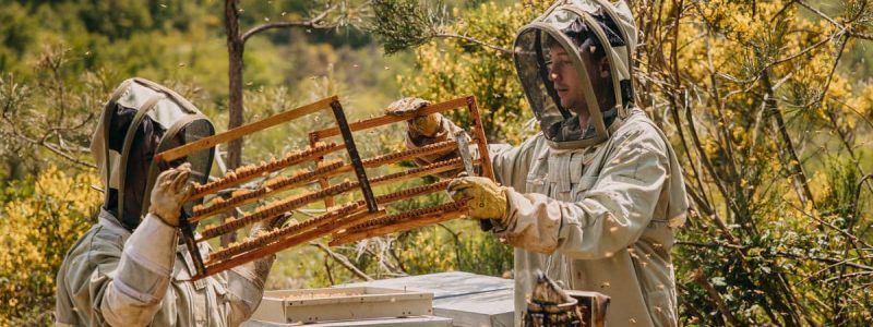 photographe-entreprise-audrey-gueton-gpgrf-3